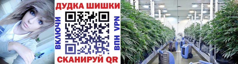 купить   Белинский  Шишки марихуана OG Kush 